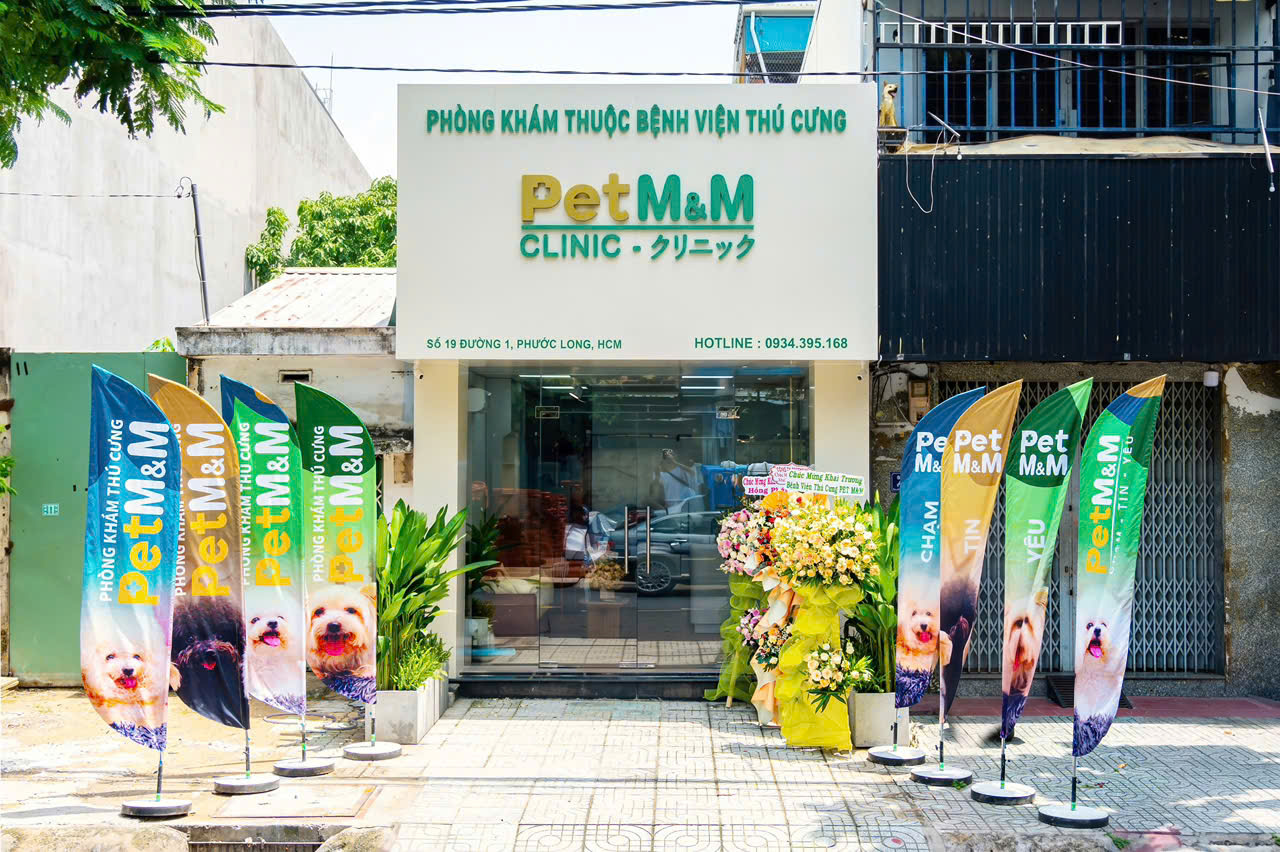 Ảnh nền PetM&M