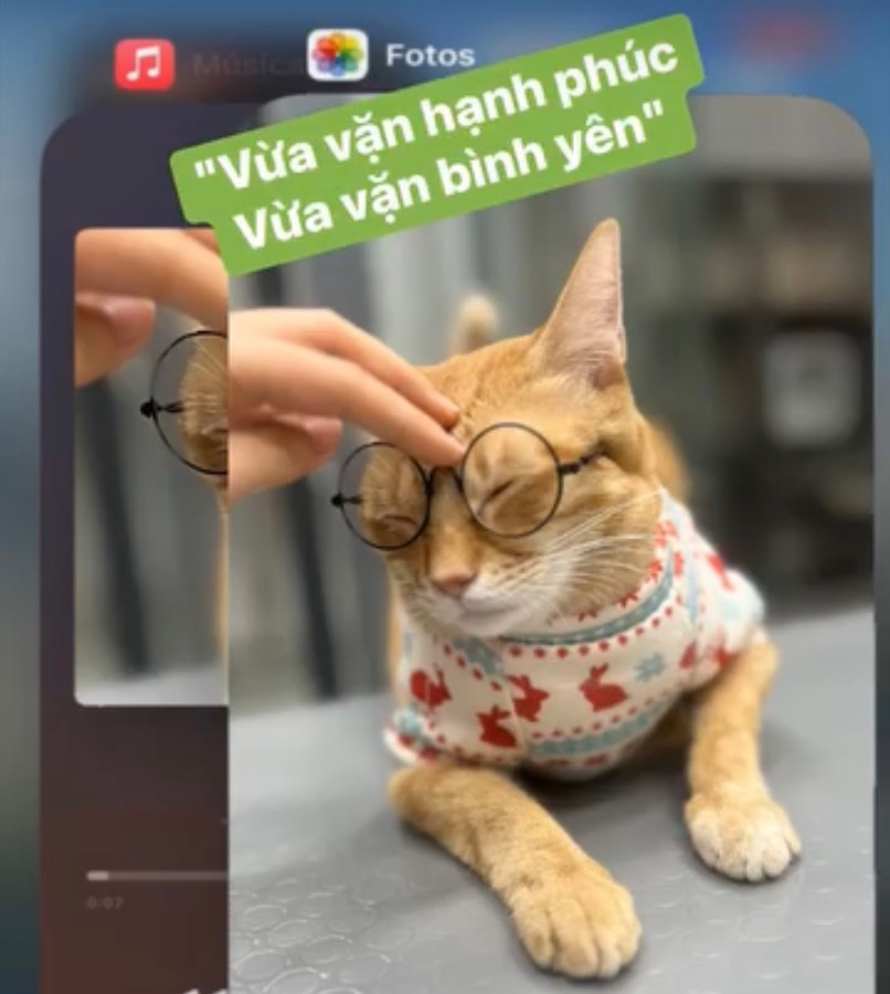 Ảnh nền PetM&M